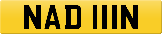 NAD111N